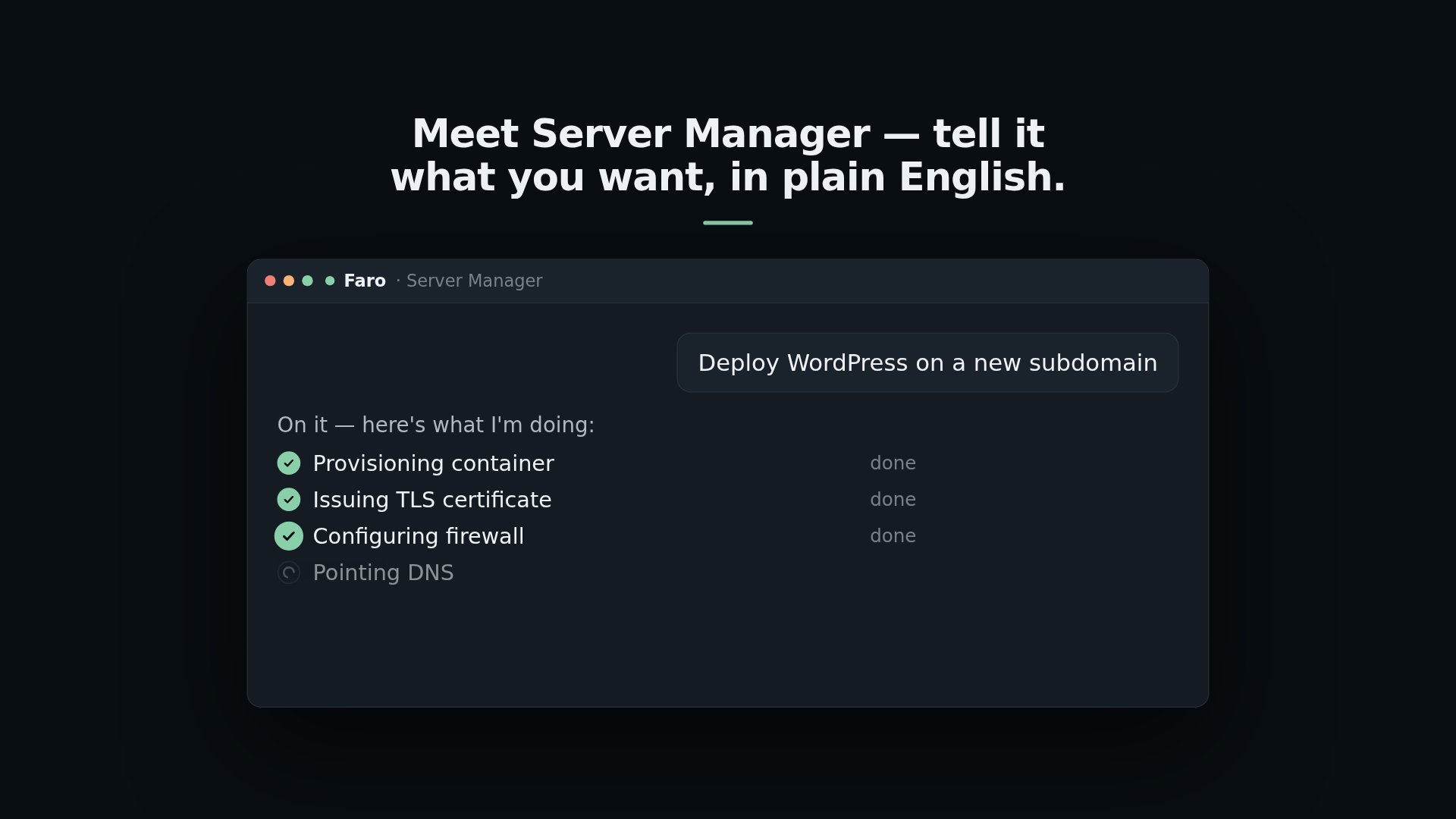 Server Manager screenshot 1